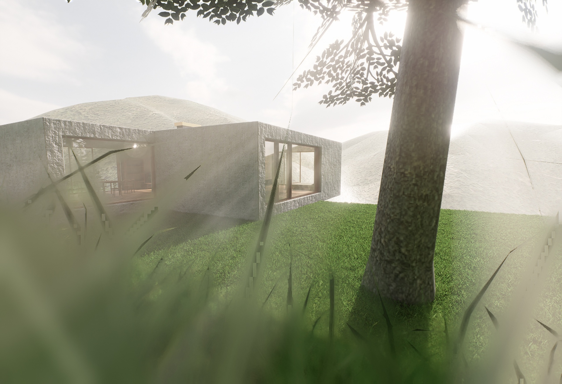 Sunlit exterior view of the concrete volumes through tall grass and trees